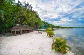 Palmarium Akanin’ny Nofy