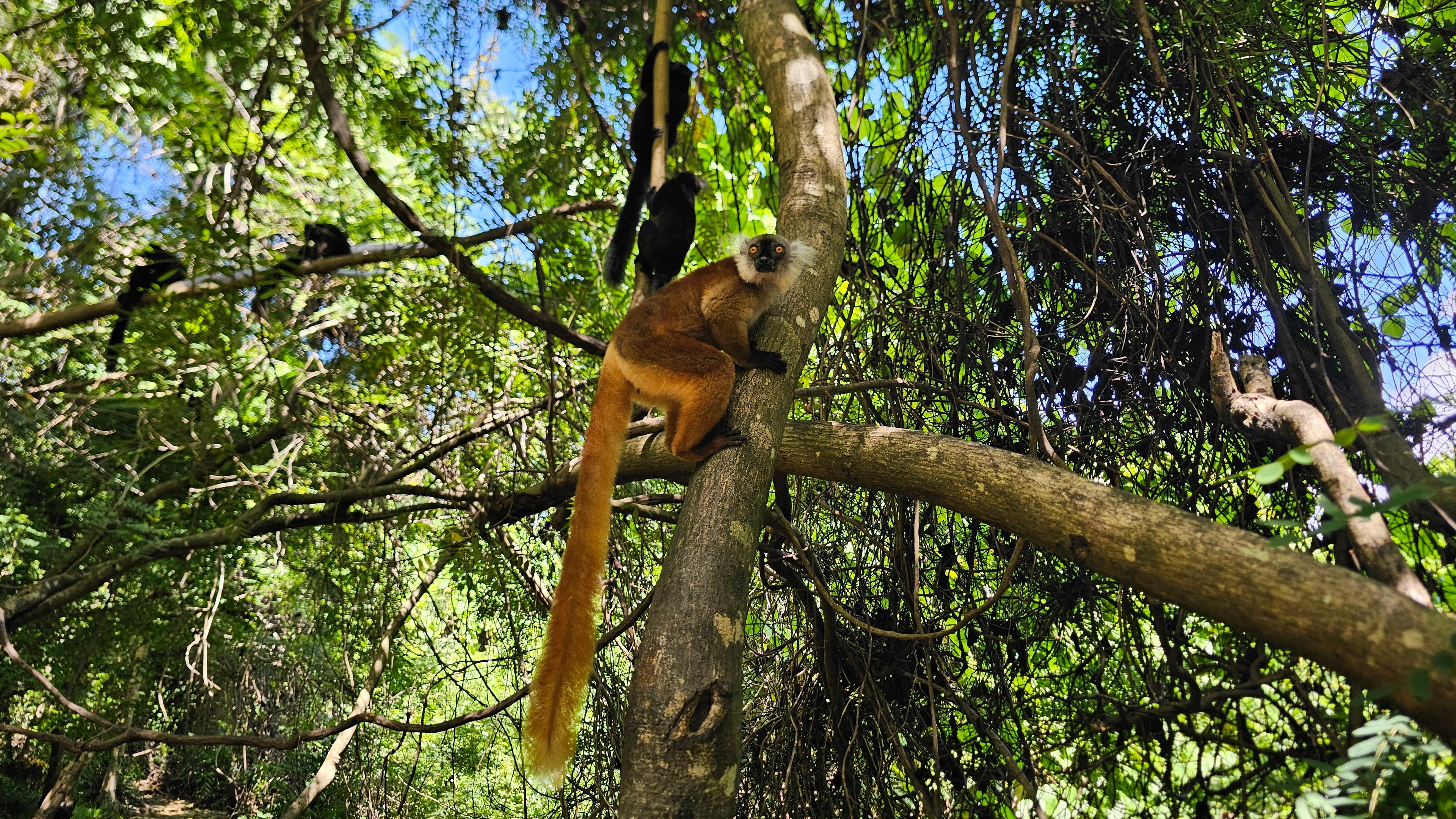 Le circuit solidaire et communautaire